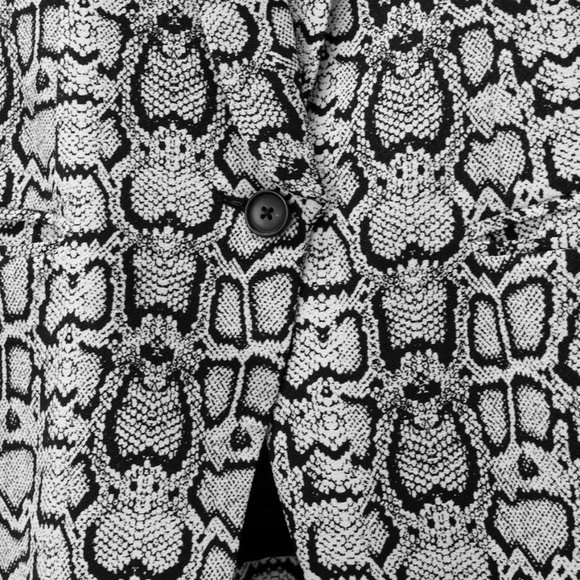 Smythe Python Print Blazer - Picture 9 of 10